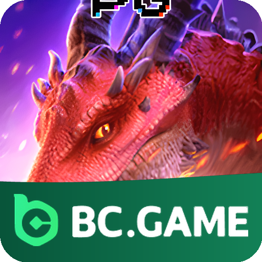 Verificação KYC BCGAME